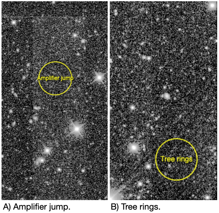Examples of camera detector effects in the images.